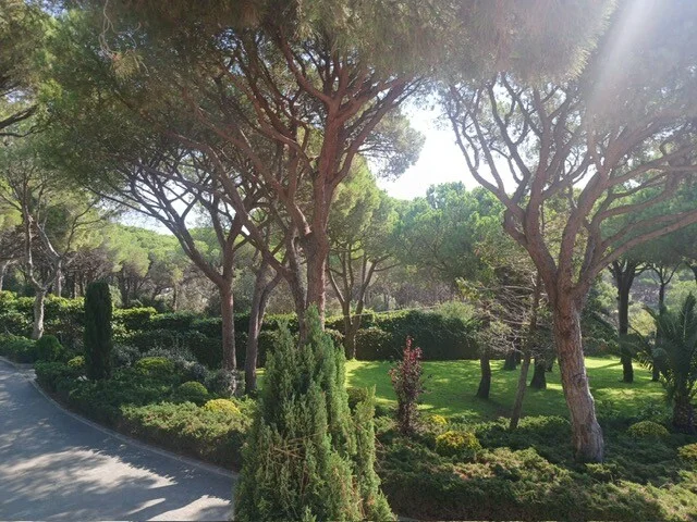 comprar casa segunda residencia S’Agaró