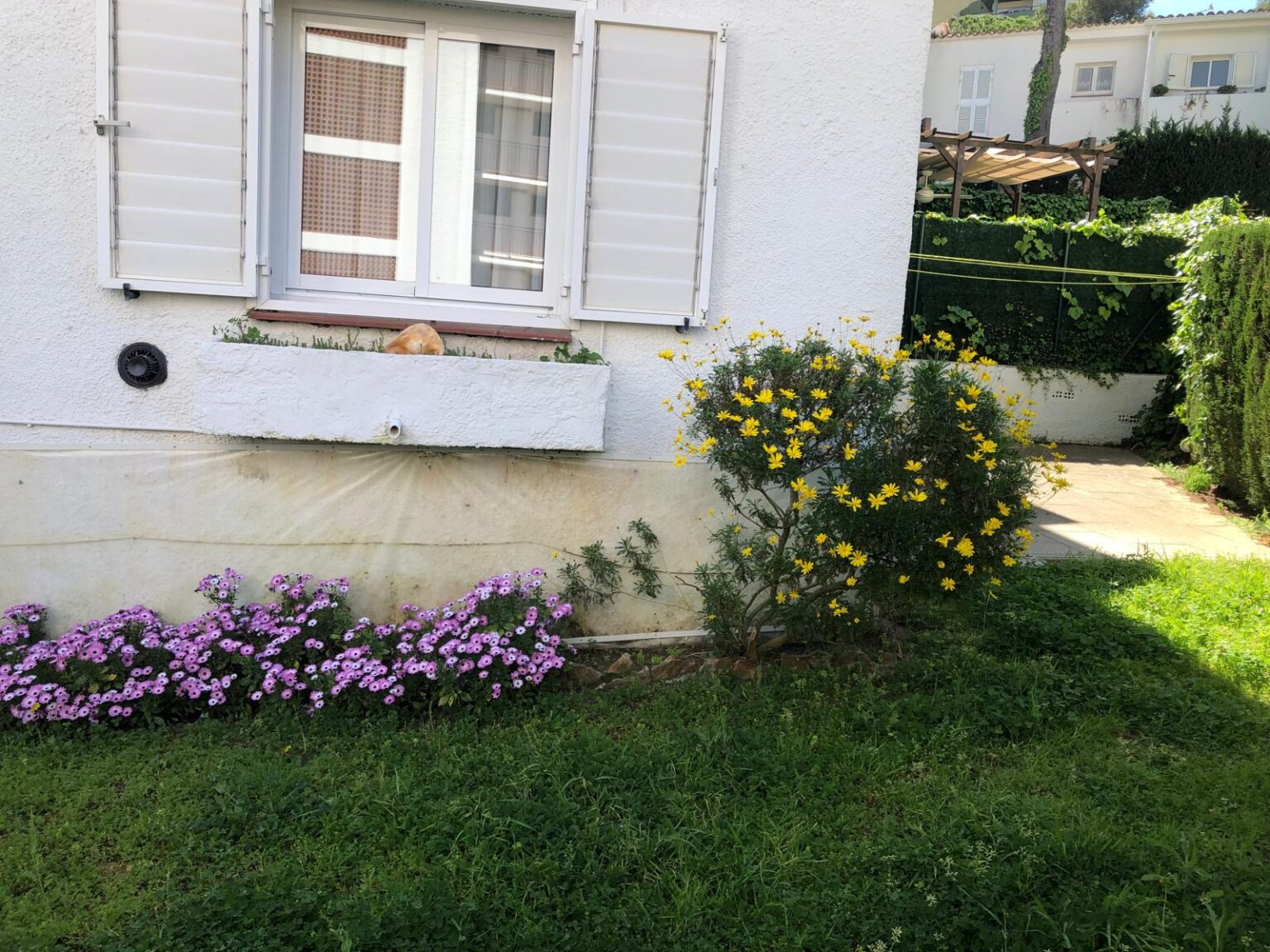 PHOTO-2024-04-19-18-29-52 (2)