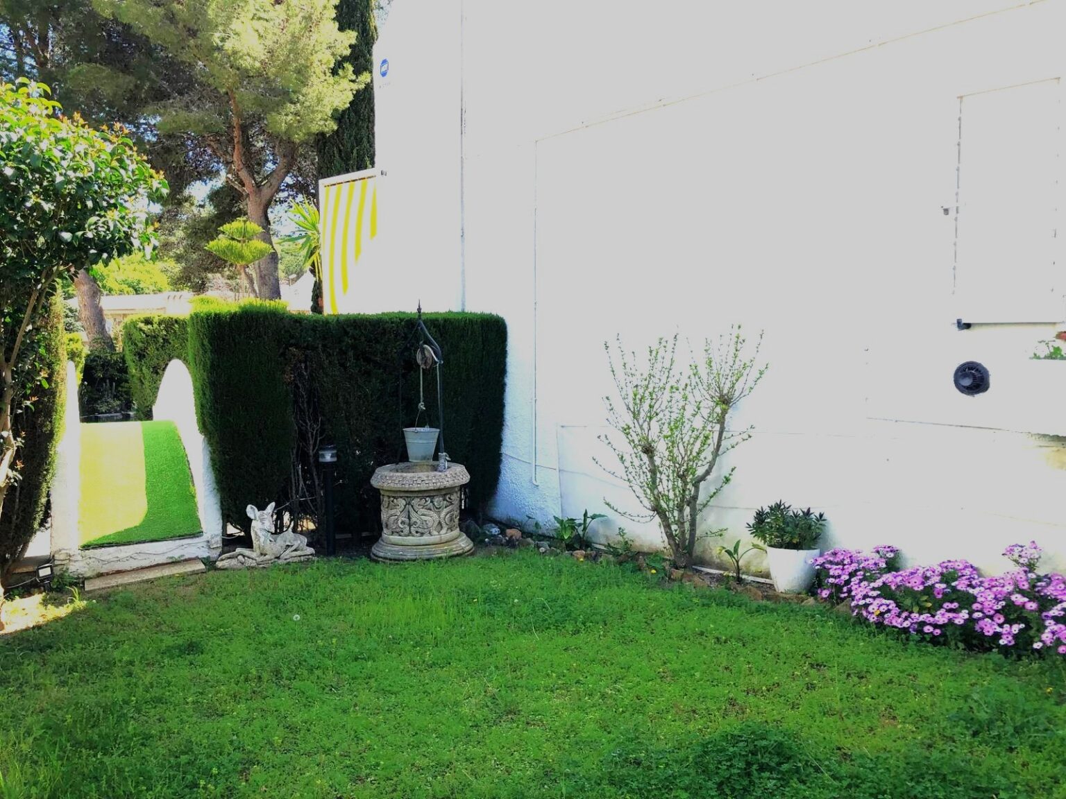 PHOTO-2024-04-19-18-29-52 (4)