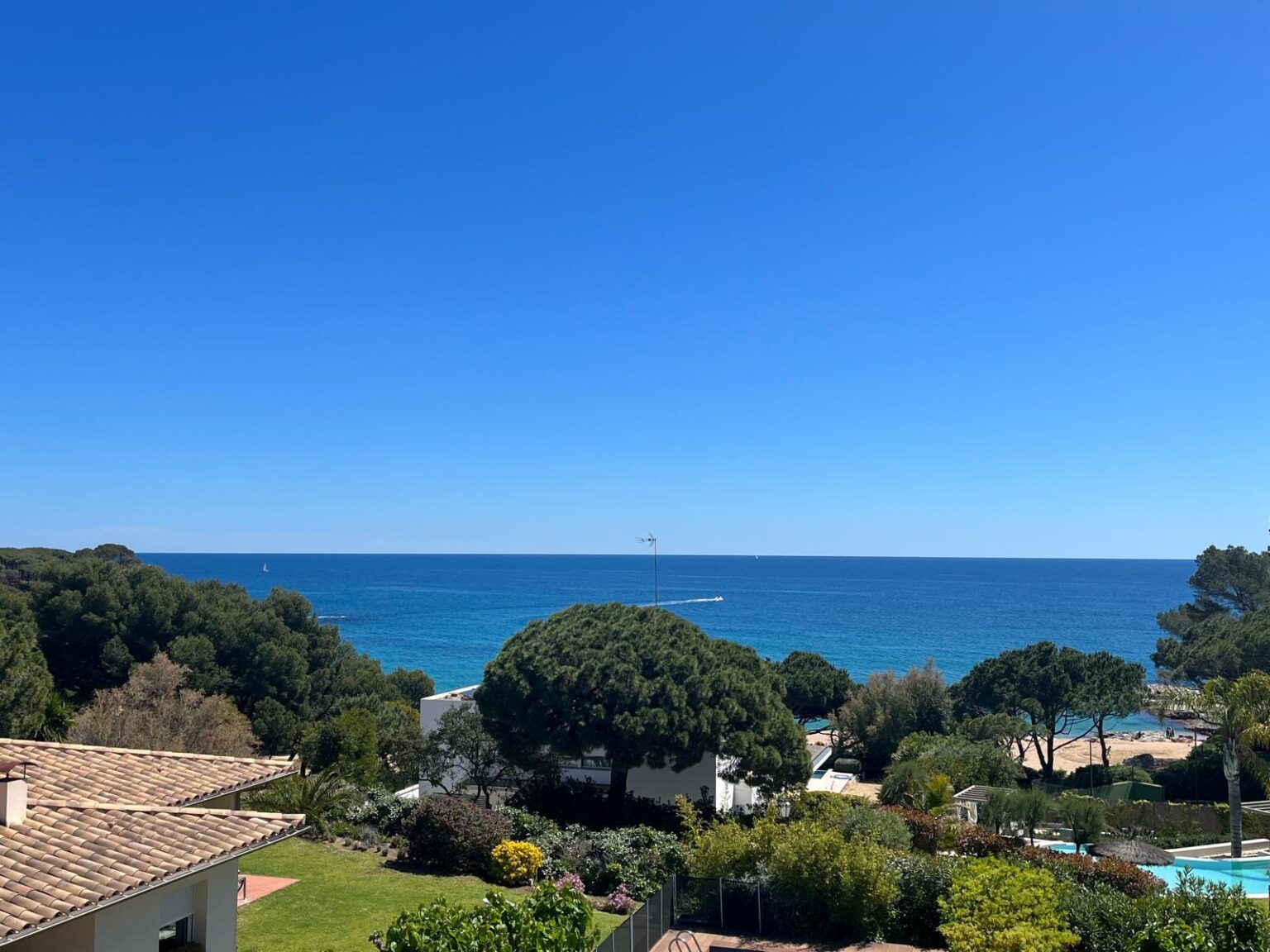 PHOTO-2025-02-03-11-55-39 (7)