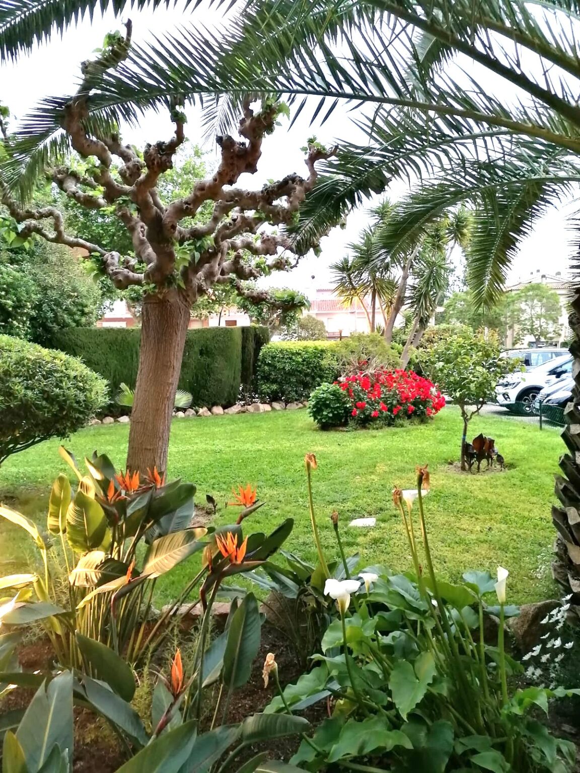 PHOTO-2025-12-03-19-50-20 (6)