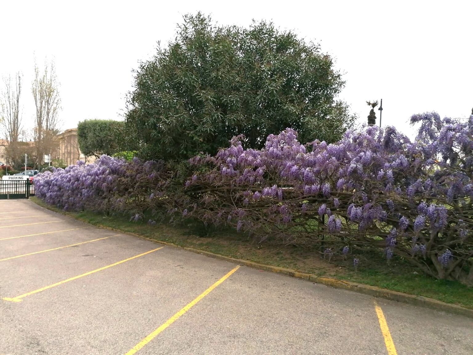 PHOTO-2025-12-03-19-50-21 (1)