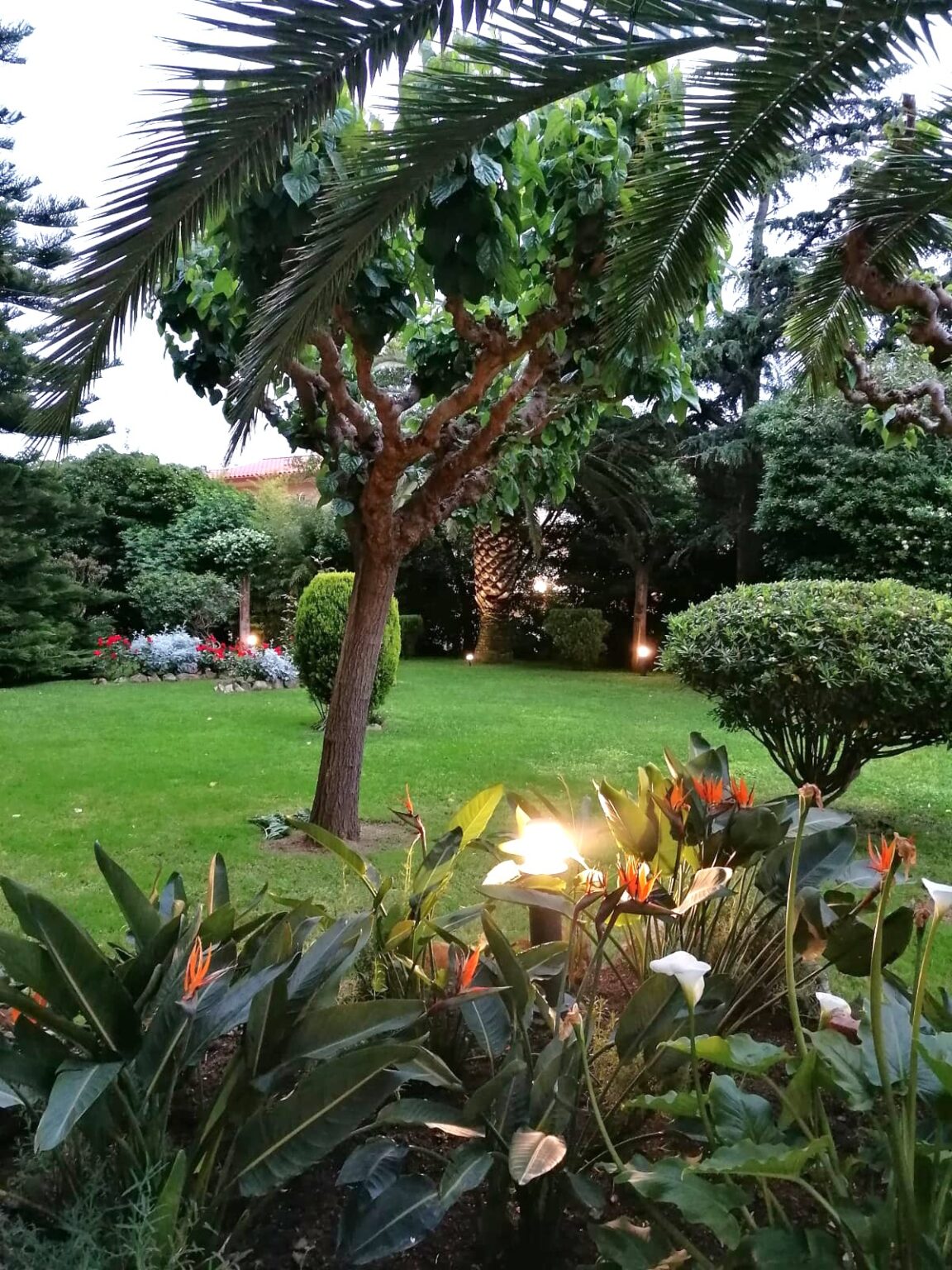 PHOTO-2025-12-03-19-50-21