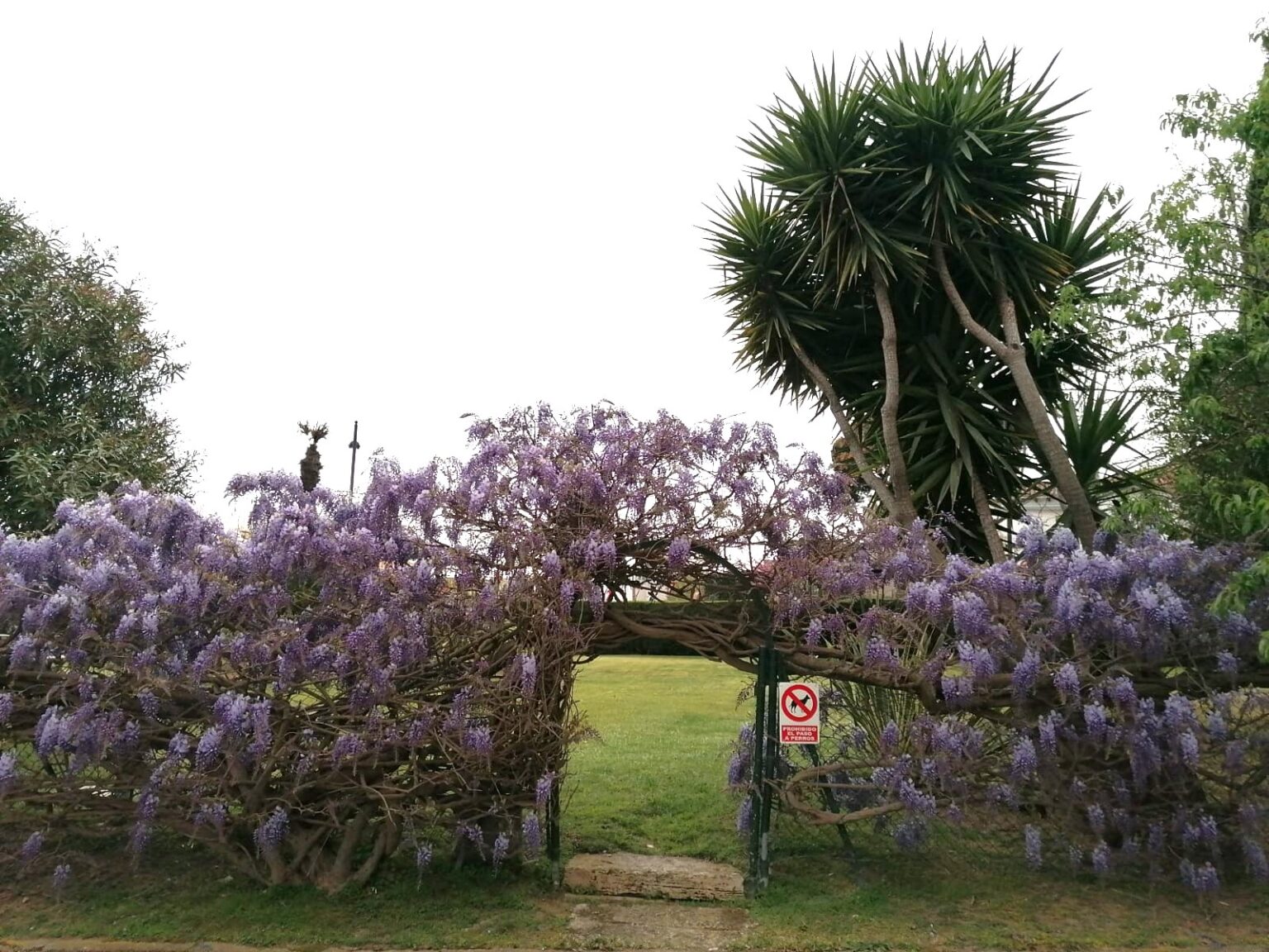 PHOTO-2025-12-03-19-50-21 (2)