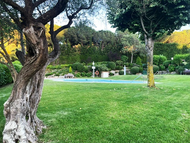 PHOTO-2026-01-12-19-35-56 (1)