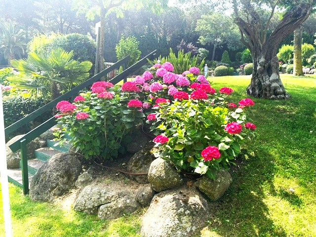 PHOTO-2026-01-12-19-35-56 (3)