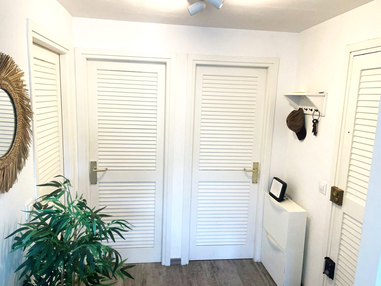 PHOTO-2026-01-12-19-36-07 (1)