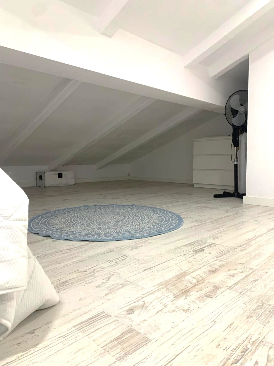 PHOTO-2026-01-12-19-36-09 (3)